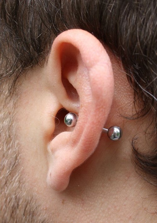 722px_Conch_piercing